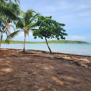 beautiful-caribbean-waters-7-seas-beach-el-yunque-icacos-island.comcaribbean.com/